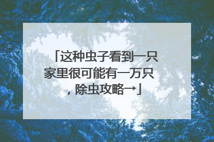 这种虫子看到一只家里很可能有一万只，除虫攻略→