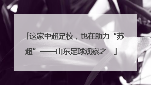这家中超足校，也在助力“苏超”——山东足球观察之一