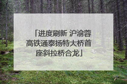进度刷新 沪渝蓉高铁通泰扬特大桥首座斜拉桥合龙