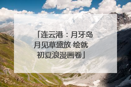 连云港：月牙岛月见草盛放 绘就初夏浪漫画卷