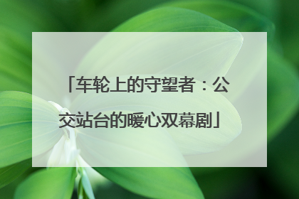 车轮上的守望者：公交站台的暖心双幕剧