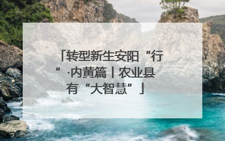 转型新生安阳“行”·内黄篇丨农业县有“大智慧”