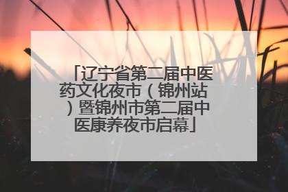 辽宁省第二届中医药文化夜市（锦州站）暨锦州市第二届中医康养夜市启幕