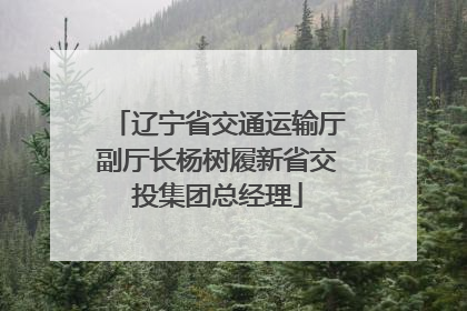 辽宁省交通运输厅副厅长杨树履新省交投集团总经理