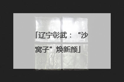 辽宁彰武：“沙窝子”焕新颜