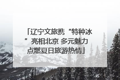 辽宁文旅携“特种冰”亮相北京 多元魅力点燃夏日旅游热情