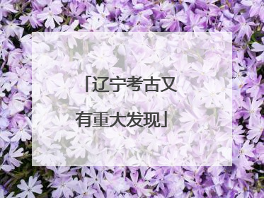 辽宁考古又有重大发现