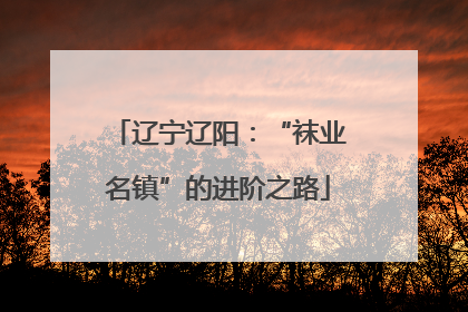 辽宁辽阳：“袜业名镇”的进阶之路