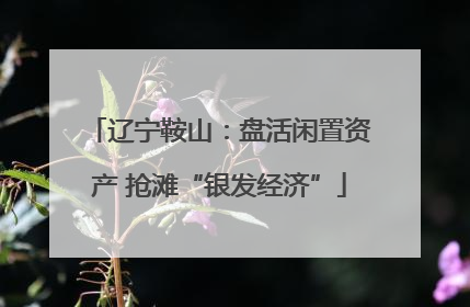 辽宁鞍山：盘活闲置资产 抢滩“银发经济”