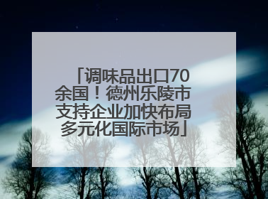 调味品出口70余国！德州乐陵市支持企业加快布局多元化国际市场