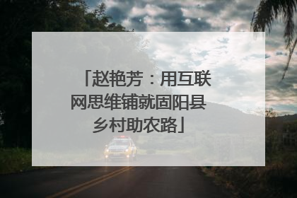 赵艳芳：用互联网思维铺就固阳县乡村助农路