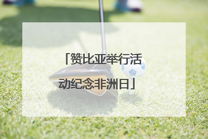 赞比亚举行活动纪念非洲日