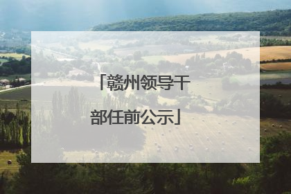 赣州领导干部任前公示