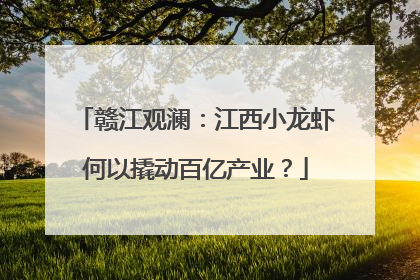 赣江观澜：江西小龙虾何以撬动百亿产业？