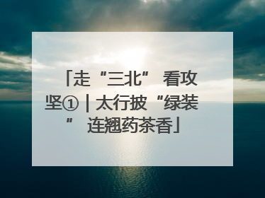 走“三北” 看攻坚①｜太行披“绿装” 连翘药茶香