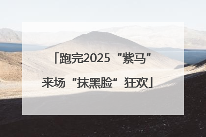 跑完2025“紫马” 来场“抹黑脸”狂欢