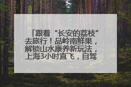 跟着“长安的荔枝”去旅行！品岭南鲜果，解锁山水康养新玩法，上海3小时直飞，自驾高速费优惠