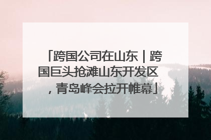 跨国公司在山东｜跨国巨头抢滩山东开发区，青岛峰会拉开帷幕