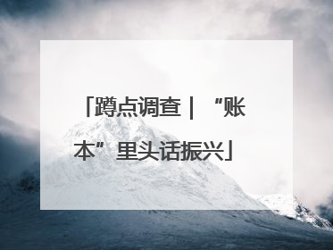 蹲点调查｜“账本”里头话振兴