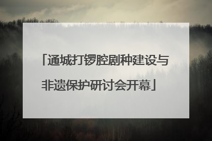 通城打锣腔剧种建设与非遗保护研讨会开幕
