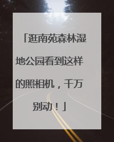 逛南苑森林湿地公园看到这样的照相机，千万别动！