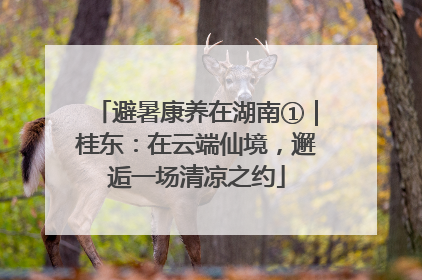避暑康养在湖南①｜桂东：在云端仙境，邂逅一场清凉之约