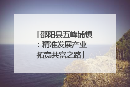 邵阳县五峰铺镇：精准发展产业 拓宽共富之路