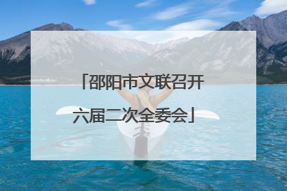 邵阳市文联召开六届二次全委会