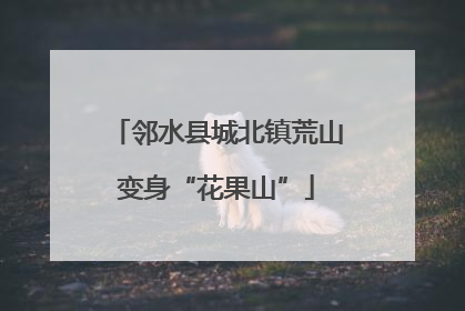 邻水县城北镇荒山变身“花果山”