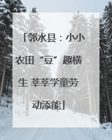 邻水县：小小农田“豆”趣横生 莘莘学童劳动添能