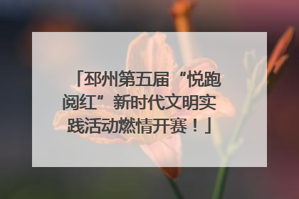 邳州第五届“悦跑阅红”新时代文明实践活动燃情开赛！
