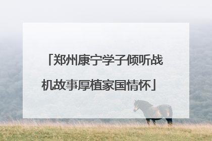 郑州康宁学子倾听战机故事厚植家国情怀
