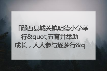 郧西县城关镇明德小学举行"五育并举助成长，人人参与逐梦行"庆六一活动
