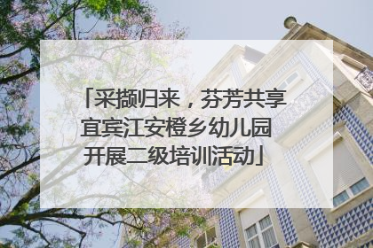 采撷归来，芬芳共享 宜宾江安橙乡幼儿园开展二级培训活动