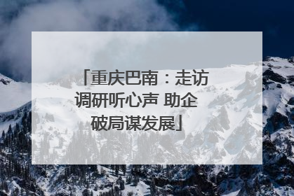 重庆巴南：走访调研听心声 助企破局谋发展