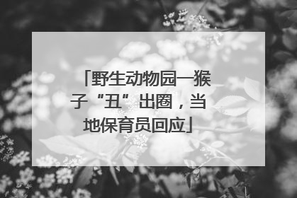 野生动物园一猴子“丑”出圈，当地保育员回应