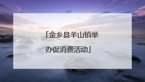 金乡县羊山镇举办促消费活动