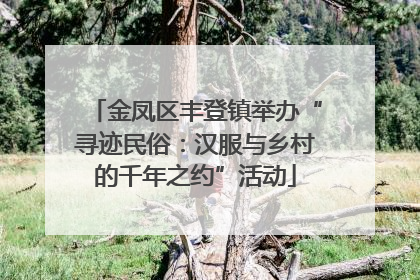 金凤区丰登镇举办“寻迹民俗：汉服与乡村的千年之约”活动