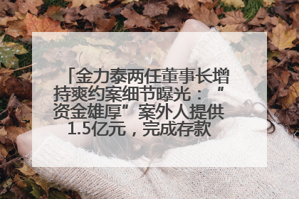 金力泰两任董事长增持爽约案细节曝光：“资金雄厚”案外人提供1.5亿元，完成存款证明后当日转回
