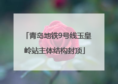 青岛地铁9号线玉皇岭站主体结构封顶