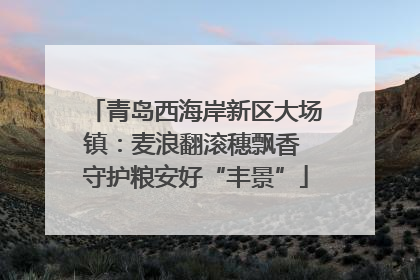 青岛西海岸新区大场镇：麦浪翻滚穗飘香 守护粮安好“丰景”