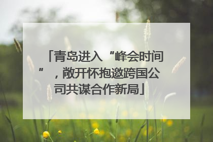 青岛进入“峰会时间”，敞开怀抱邀跨国公司共谋合作新局