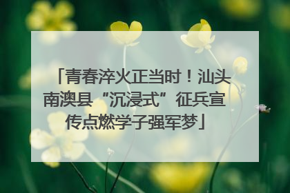 青春淬火正当时！汕头南澳县“沉浸式”征兵宣传点燃学子强军梦