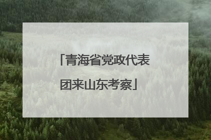 青海省党政代表团来山东考察