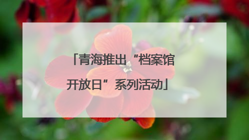 青海推出“档案馆开放日”系列活动