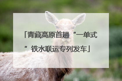 青藏高原首趟“一单式”铁水联运专列发车