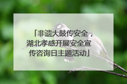 非遗大鼓传安全，湖北孝感开展安全宣传咨询日主题活动