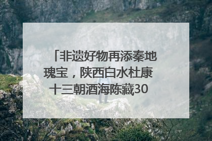 非遗好物再添秦地瑰宝，陕西白水杜康十三朝酒海陈藏30年别具一格