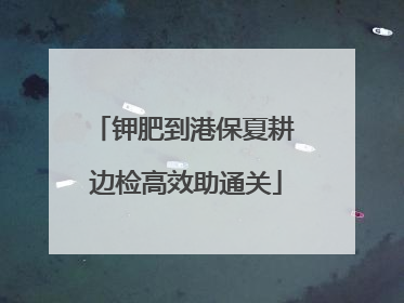 钾肥到港保夏耕 边检高效助通关