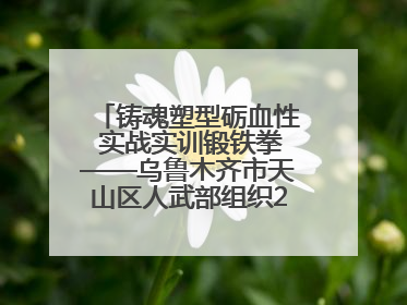 铸魂塑型砺血性 实战实训锻铁拳——乌鲁木齐市天山区人武部组织2025年度民兵集中轮训